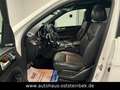Mercedes-Benz GLS 350 D 4M/AMG-LINE/PANO/ACC/360°/H&K/7-SITZER Weiß - thumbnail 11