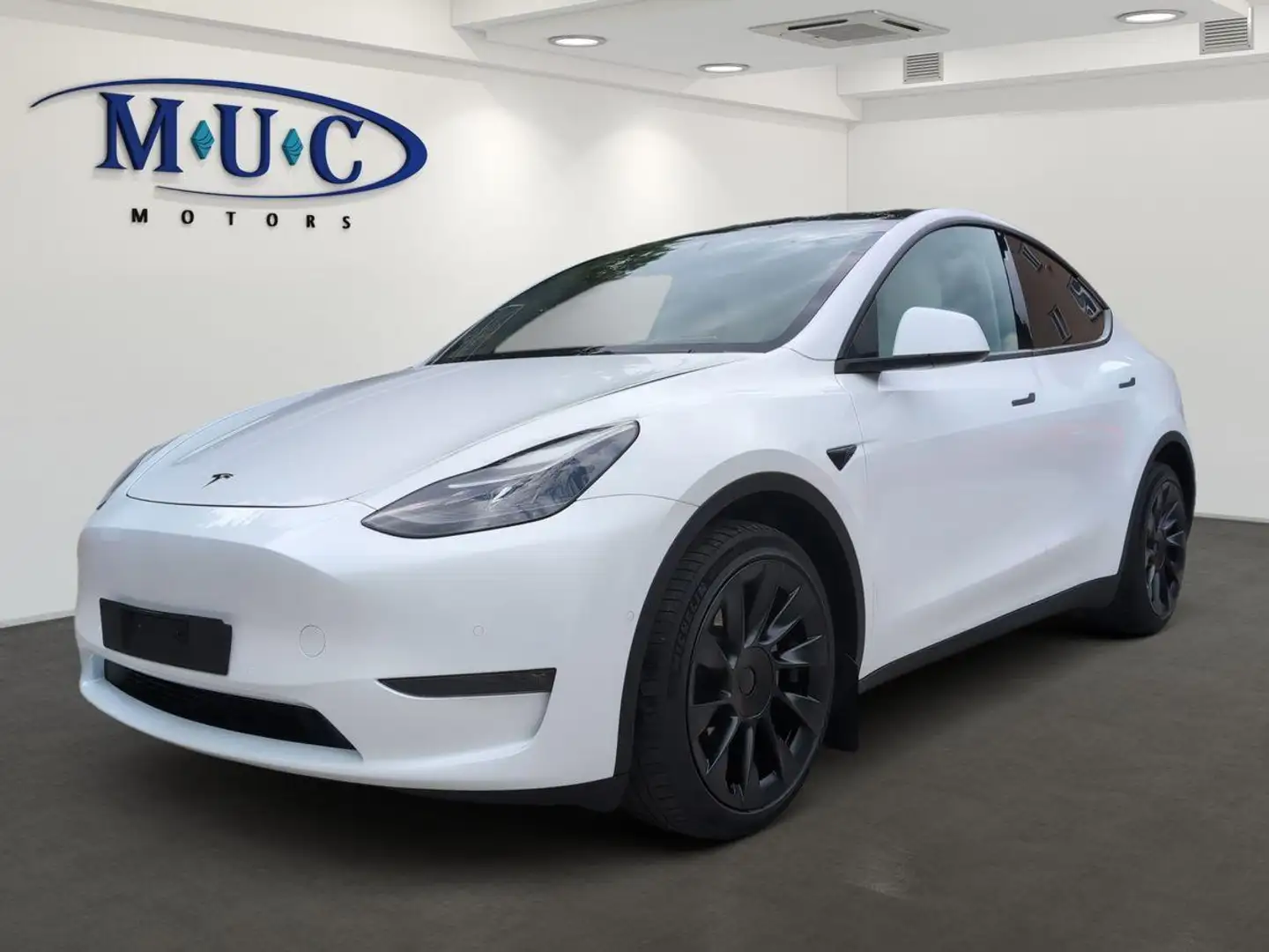 Tesla Model Y Long Range Dual AWD Weiß - 1