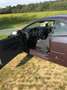 Ford Focus CC Focus Coupe-Cabriolet 1.6 16V Trend Mauve - thumbnail 8