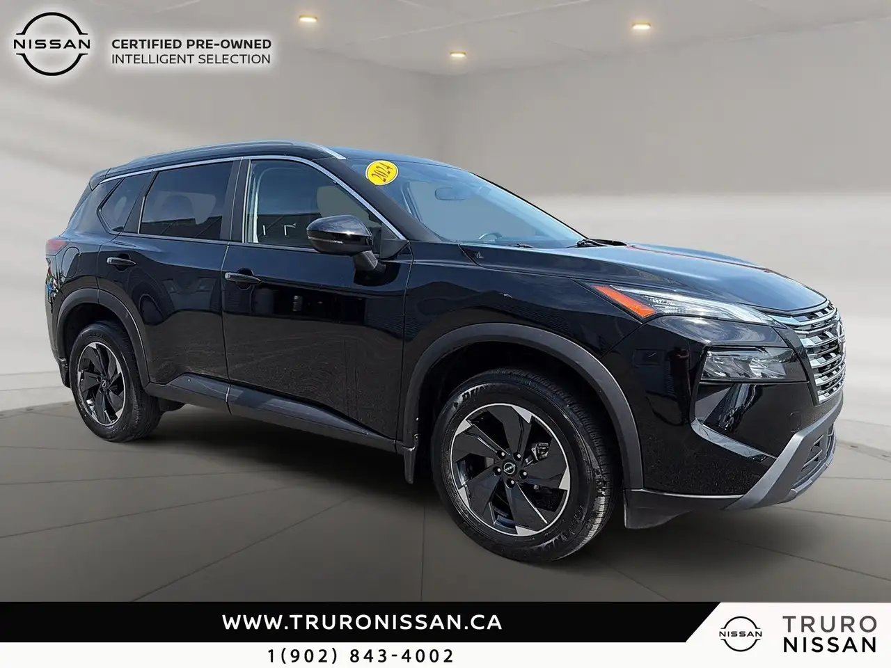 Nissan Rogue fotografie Nissan Rogue