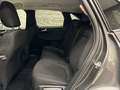 Ford Kuga 2,5 Duratec PHEV Titanium Aut. Grau - thumbnail 12