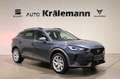 CUPRA Formentor 1.5 TSI 110kW DSG*NAVI*2xPDC* Grau - thumbnail 1