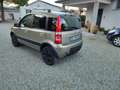 Fiat Panda Panda II 2003 1.2 Climbing 4x4 Bronze - thumbnail 4