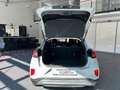 Ford Puma Titanium NEUES MODELL Grijs - thumbnail 8
