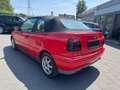 Volkswagen Golf Cabriolet Cabrio 1.9 TDI Classic Edition Rojo - thumbnail 5