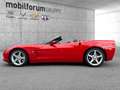 Corvette Rosso - thumbnail 3
