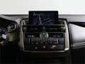 Lexus NX 300 300h Business 2WD - thumbnail 15