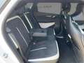 Kia EV6 GT-Line 4WD 84 kWh AWD Wärmepumpe ASS+ Snd Design Bianco - thumbnail 11