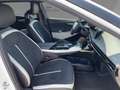 Kia EV6 GT-Line 4WD 84 kWh AWD Wärmepumpe ASS+ Snd Design Weiß - thumbnail 10