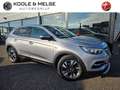 Opel Grandland X 1.2 Turbo 130pk Business Executive | Pano | Trekha Grijs - thumbnail 1