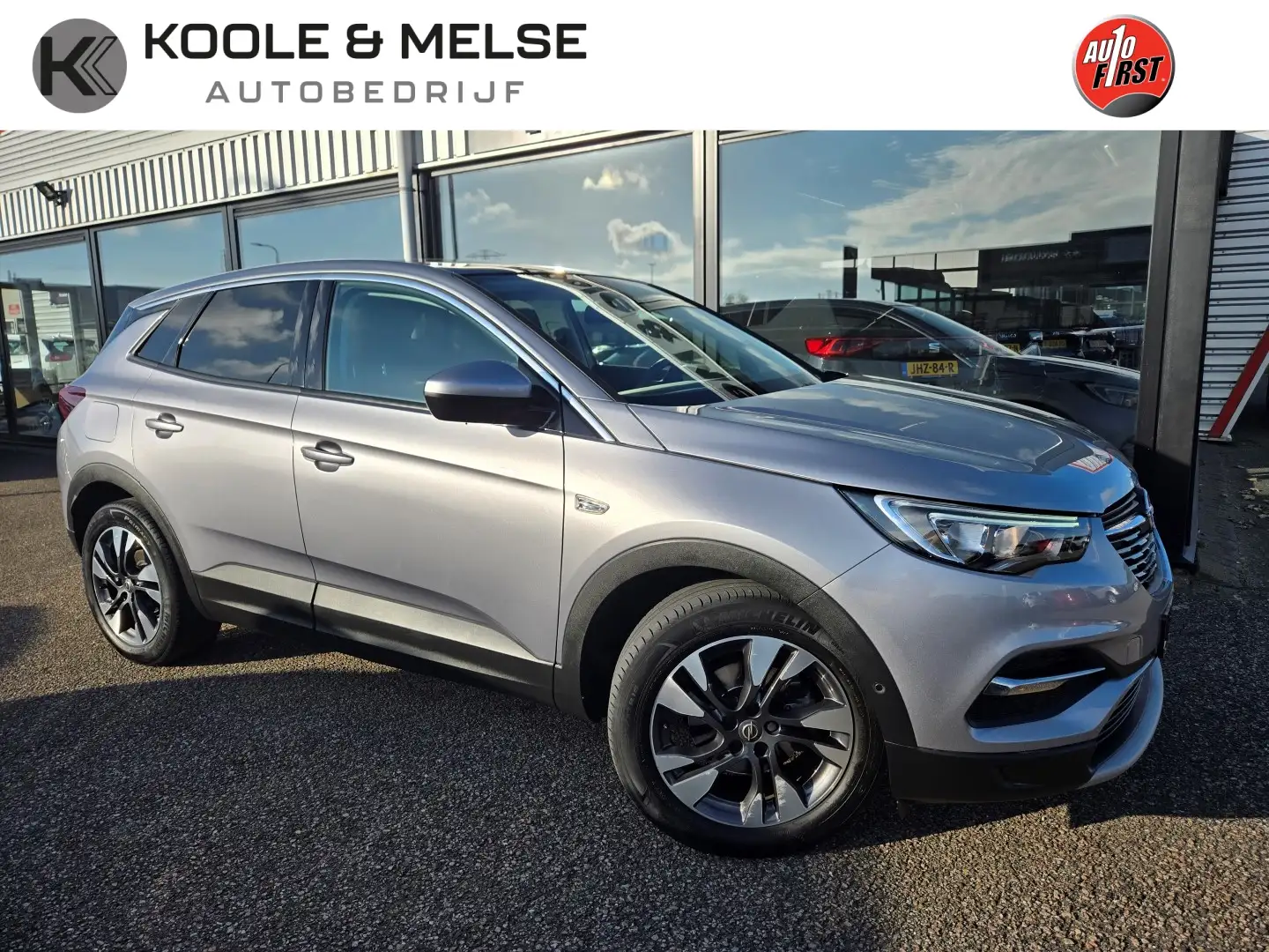 Opel Grandland X 1.2 Turbo 130pk Business Executive | Pano | Trekha Grijs - 1