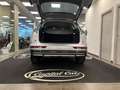 Audi Q5 Q5 II 2020 40 2.0 tdi mhev  quattro s-tronic Plateado - thumbnail 6