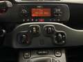 Fiat Panda 0.9 TwinAir 4x4 Wild *DAB+*AUX* Weiß - thumbnail 31