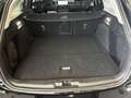 Ford Focus Turnier 1.0 E.B. Hybrid Aut. Active X +AHK Schwarz - thumbnail 14