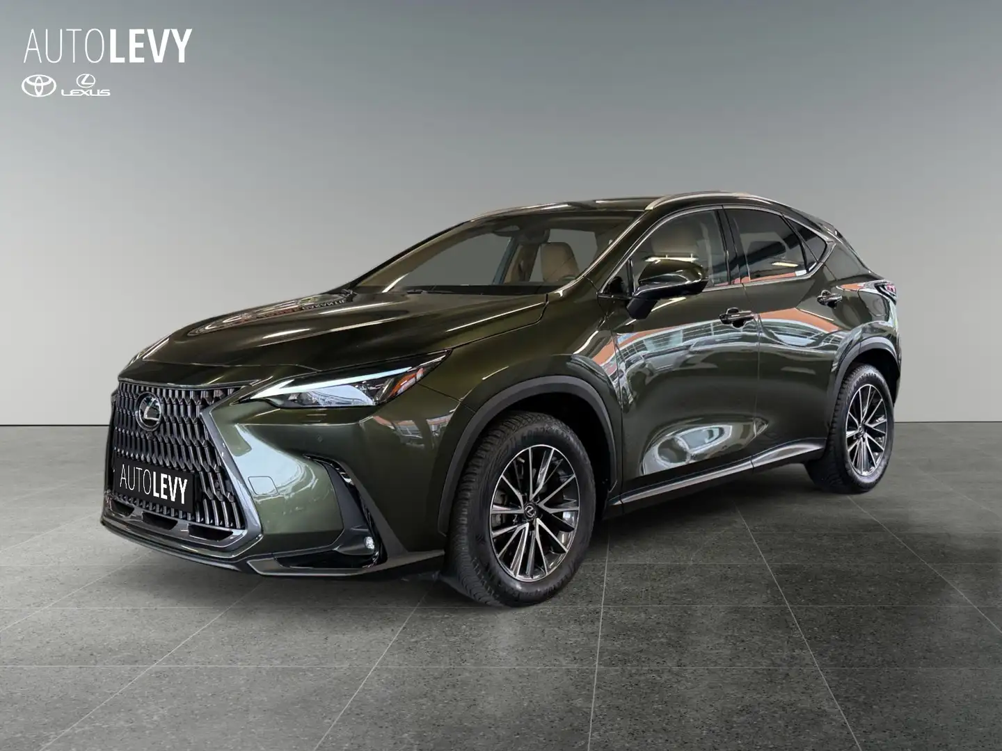 Lexus NX 450h+ E-Four Executive *CARPLAY*4SHZ*360* Grün - 2