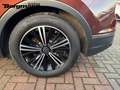 Volkswagen Tiguan United 1.5 TSI Sitzheizung - Tempomat - DAB Braun - thumbnail 7