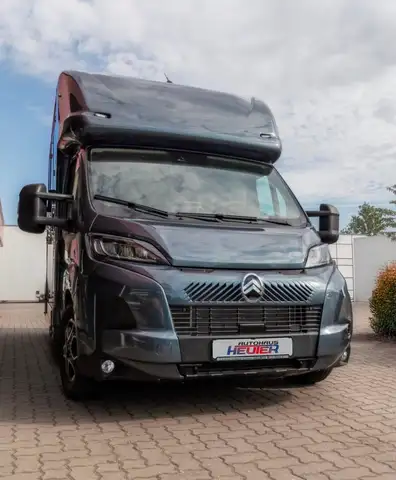 Citroen Jumper Pferdetransporter 180PS Automatik Bestellaktion