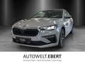 Skoda Scala Tour 1,0 TSI 85 kW DSG Grau - thumbnail 1