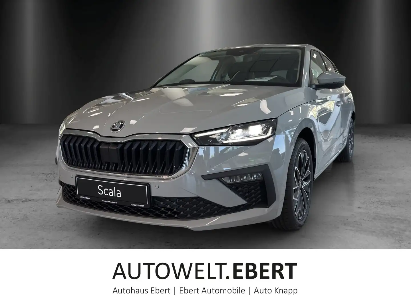 Skoda Scala Tour 1,0 TSI 85 kW DSG Grau - 1
