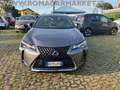 Lexus LBX 250h 2.0 Midnight 2wd cvt Grigio - thumbnail 2