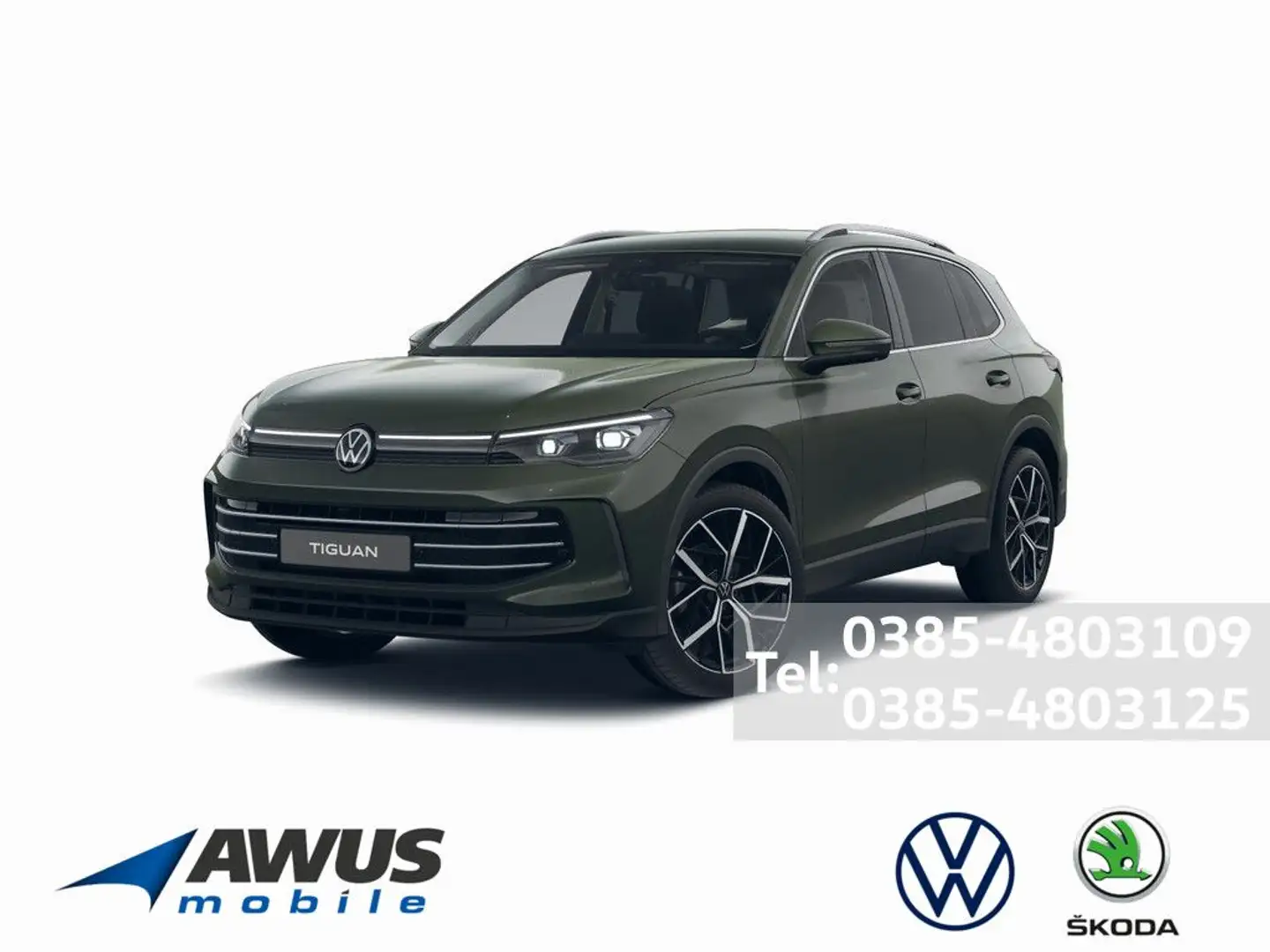 Volkswagen Tiguan 1.5TSI DSG Elegance AHK MATRIX-LED 360° Grün - 1
