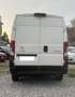 Citroen Jumper 35 L3H2 2.0 bluehdi 130cv E6 Blanco - thumbnail 5