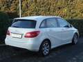 Mercedes-Benz B 180 CDI AUTOMATIC EXECUTIVE Bianco - thumbnail 4