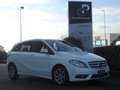 Mercedes-Benz B 180 CDI AUTOMATIC EXECUTIVE Bianco - thumbnail 3