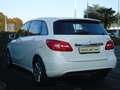 Mercedes-Benz B 180 CDI AUTOMATIC EXECUTIVE Bianco - thumbnail 6