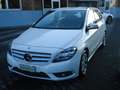 Mercedes-Benz B 180 CDI AUTOMATIC EXECUTIVE Bianco - thumbnail 7