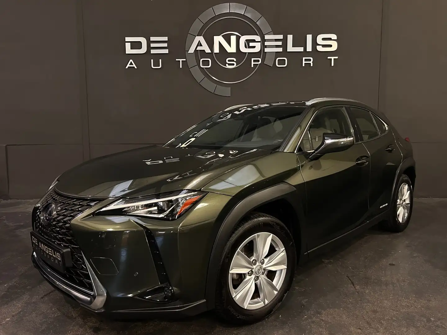 Lexus UX 250h 250 H Groen - 1