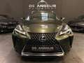 Lexus UX 250h 250 H Grün - thumbnail 4