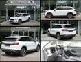 Skoda Kodiaq Selection(s) 2.0TDI 4x4 AHK HUD WinterPaket Lounge Weiß - thumbnail 1