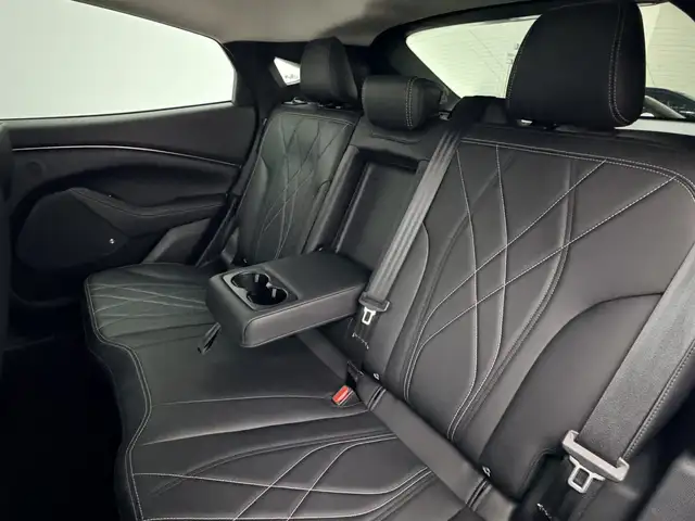 Ford Mustang Mach-E view 22