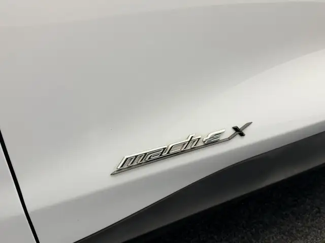Ford Mustang Mach-E view 25