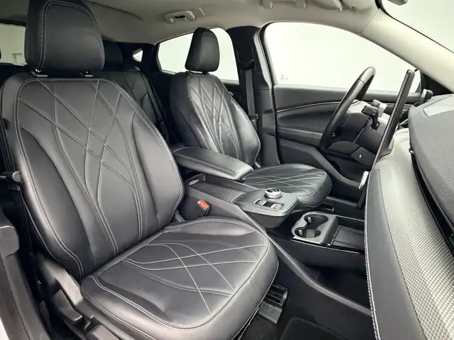 Ford Mustang Mach-E view 17