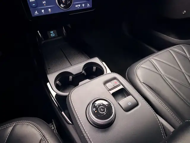 Ford Mustang Mach-E view 18