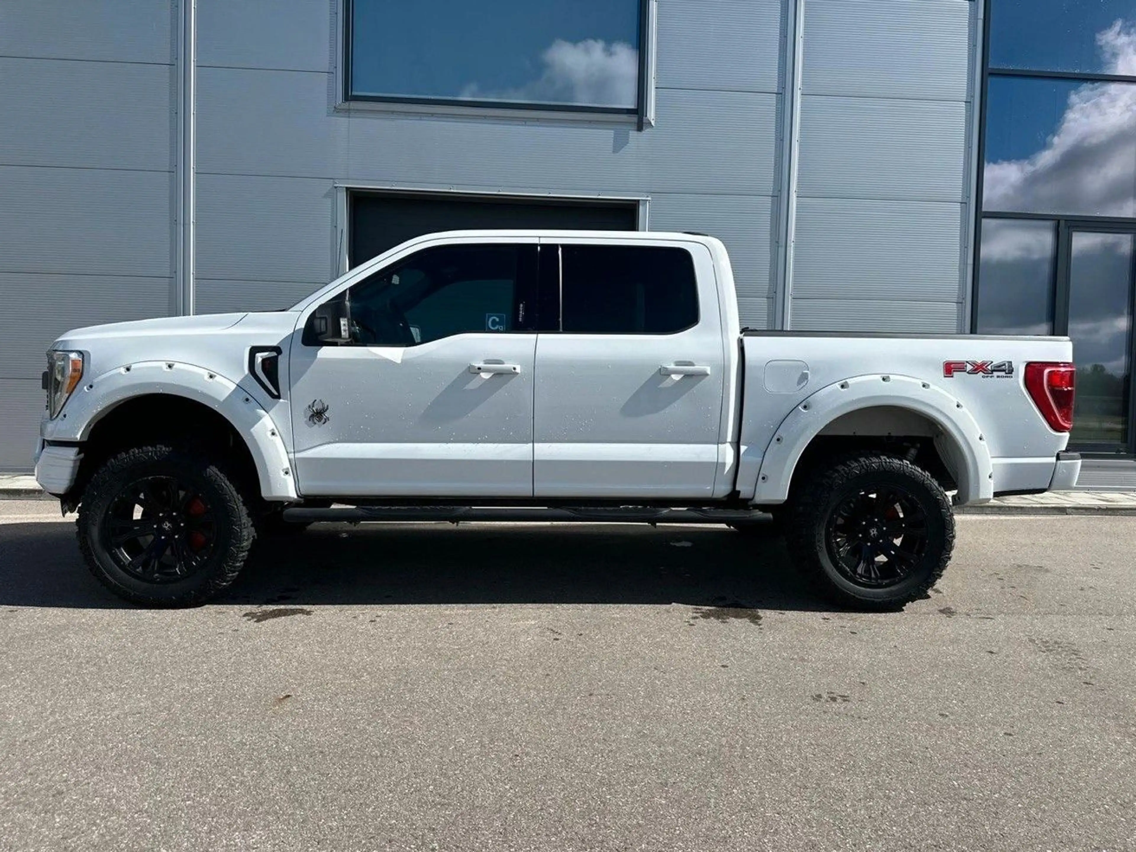 Ford F 150 5.0 V8 4x4 BLACK WIDOW — photo 6