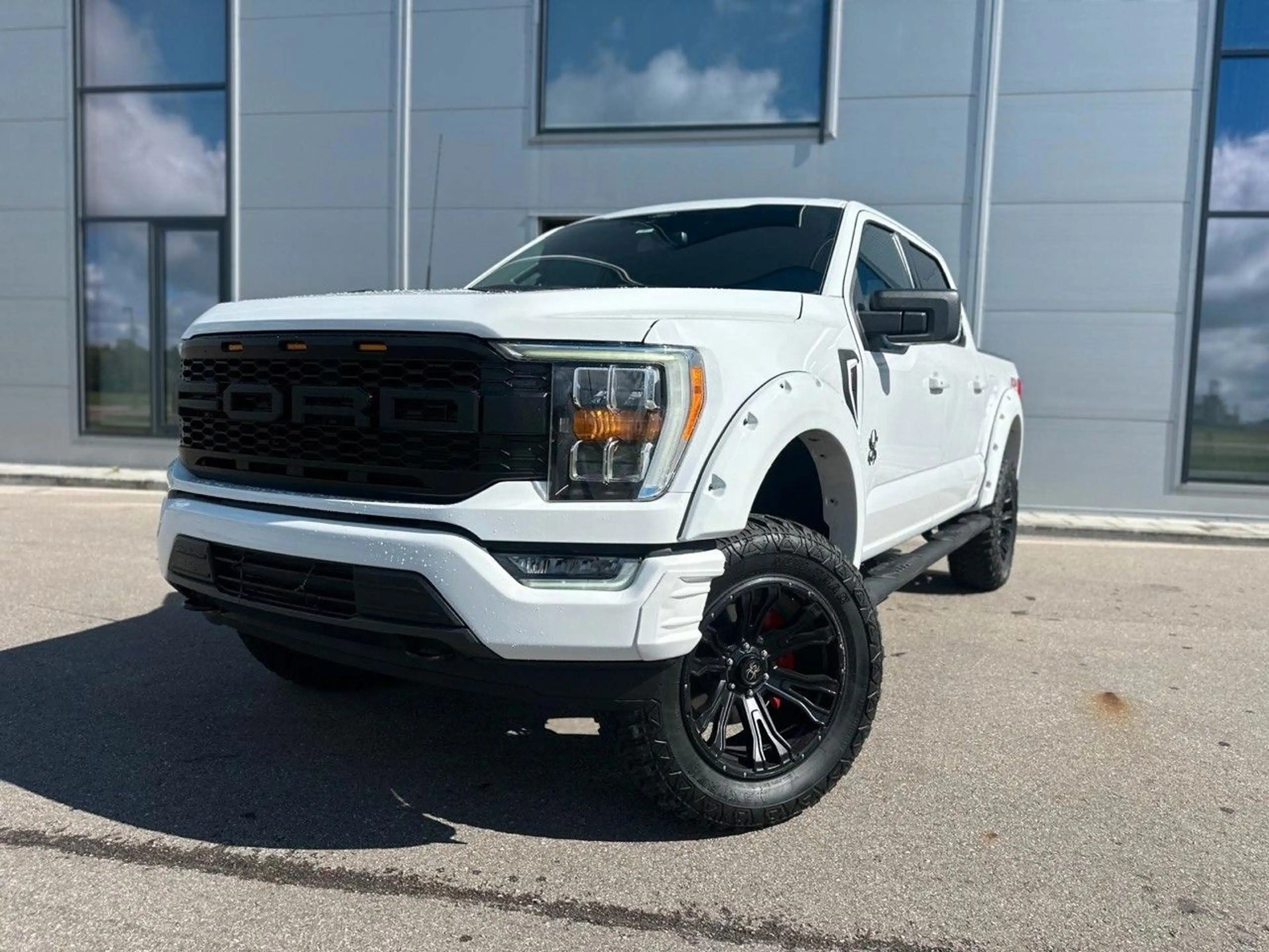 Ford F 150 5.0 V8 4x4 BLACK WIDOW — photo 4