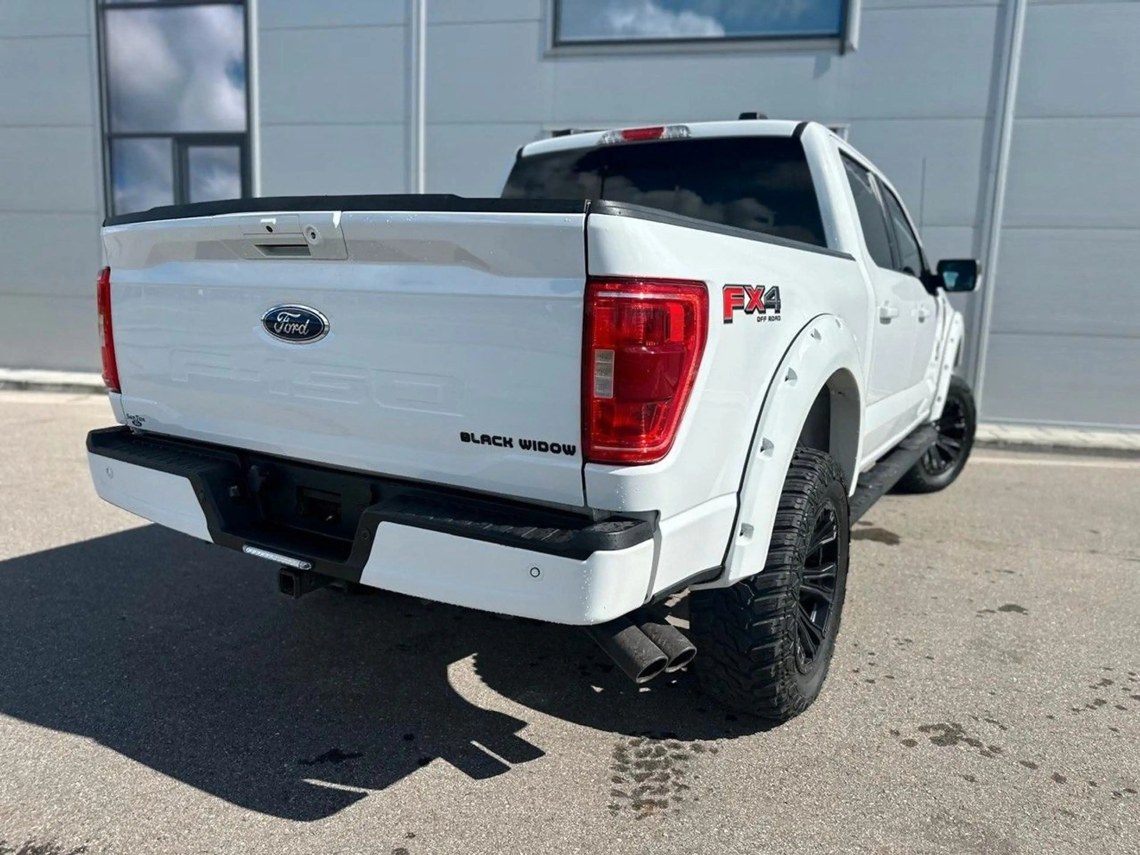 Ford F 150 5.0 V8 4x4 BLACK WIDOW — photo 8