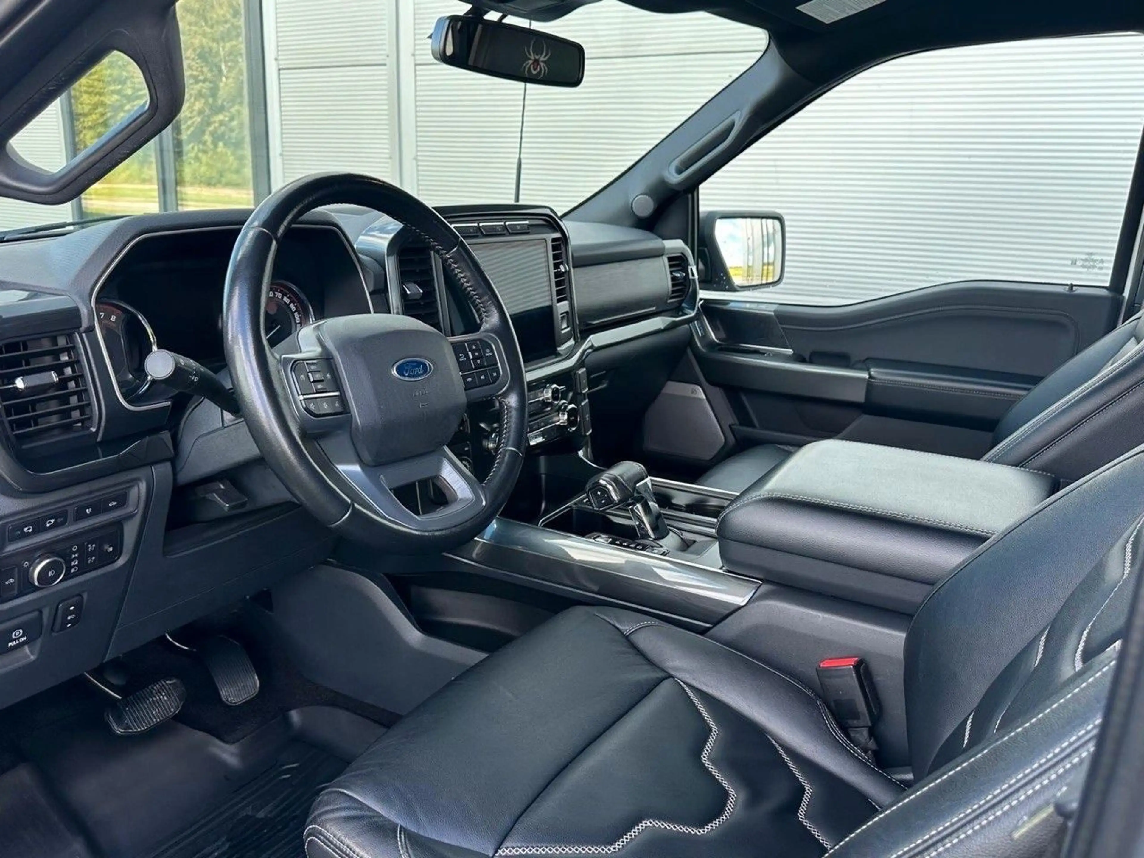 Ford F 150 5.0 V8 4x4 BLACK WIDOW — photo 12