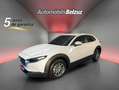 Mazda CX-30 2.5 e-Skyactiv-G Prime Line FWD Aut. 103kW Blanco - thumbnail 1
