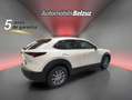 Mazda CX-30 2.5 e-Skyactiv-G Prime Line FWD Aut. 103kW Blanco - thumbnail 6