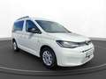 Volkswagen Caddy Life 2.0 TDI LED Navi Cool & Sound Weiß - thumbnail 13