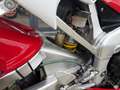 Yamaha YZF-R1 Schitternde staat# YZF R1 Rot - thumbnail 17