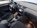 Skoda Octavia Kombi Scout 4x4*AHK*XENON*R-KAMERA* Grau - thumbnail 20