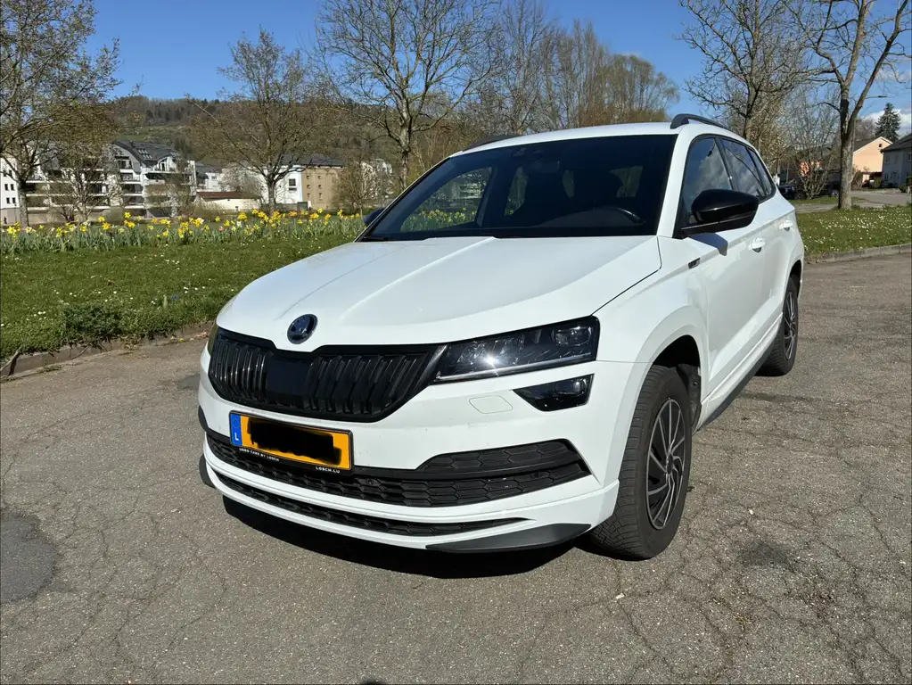 Skoda Karoq 2019 из Европы — купить под ключ