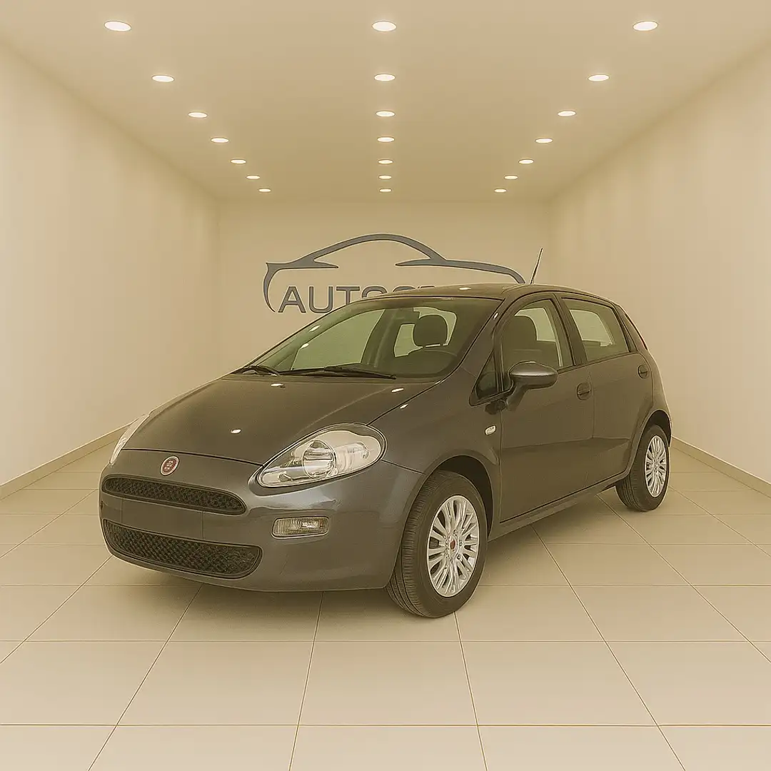 Fiat Punto 5p 1.4 natural power Lounge 70cv E6 - 1