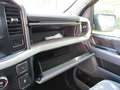 Ford F 150 F150  5,0 V8 Reg Cab Short Box  4x4 XLT Premium  T Blau - thumbnail 31