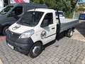 Piaggio Porter NP6 Heckkipper + AHK TWB 325 SR LPG 308 PRO Weiß - thumbnail 2